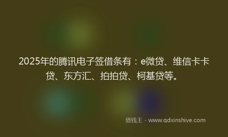 2025年的腾讯电子签借条有：e微贷、维信卡卡贷、东方汇、拍拍贷、柯基贷等。
