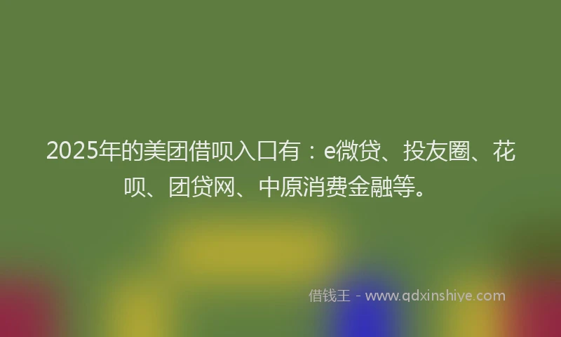 2025年的美团借呗入口有：e微贷、投友圈、花呗、团贷网、中原消费金融等。