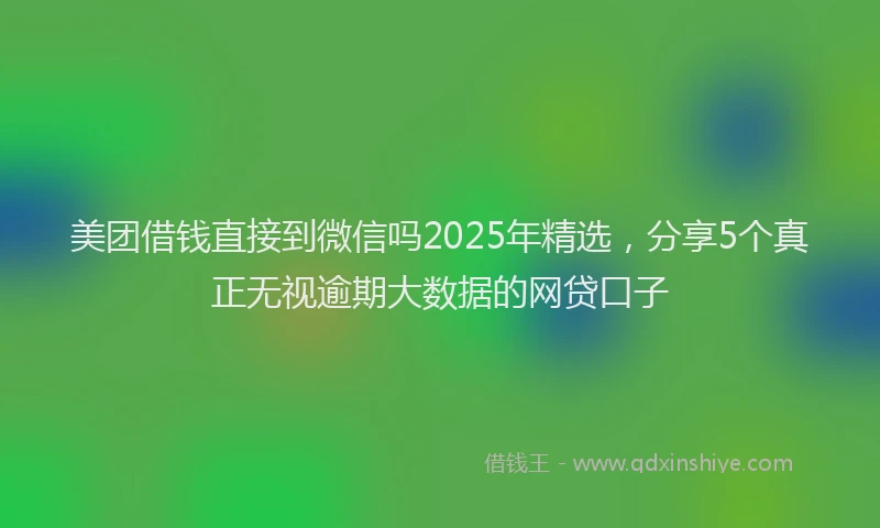美团借钱直接到微信吗2025年精选，分享5个真正无视逾期大数据的网贷口子