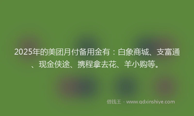 2025年的美团月付备用金有：白象商城、支富通、现金侠途、携程拿去花、羊小购等。