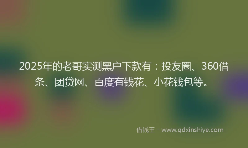 2025年的老哥实测黑户下款有：投友圈、360借条、团贷网、百度有钱花、小花钱包等。