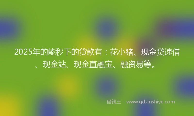 2025年的能秒下的贷款有：花小猪、现金贷速借、现金站、现金直融宝、融资易等。