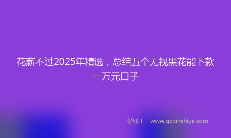 花薪不过2025年精选，总结五个无视黑花能下款一万元口子