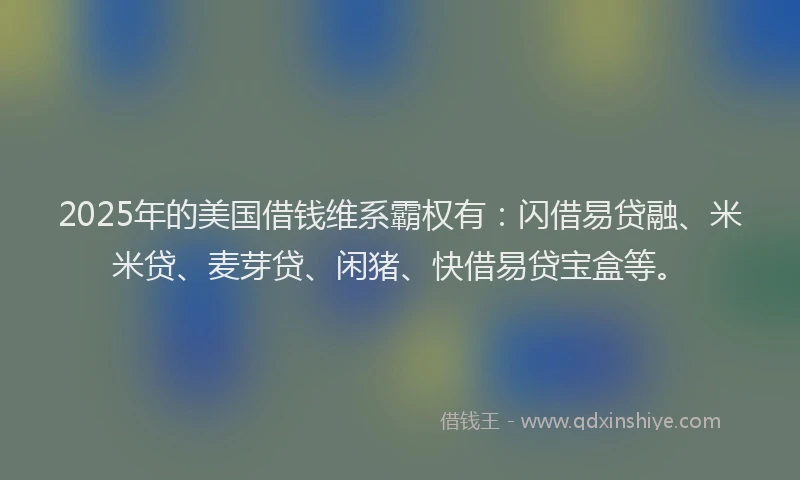 2025年的美国借钱维系霸权有：闪借易贷融、米米贷、麦芽贷、闲猪、快借易贷宝盒等。