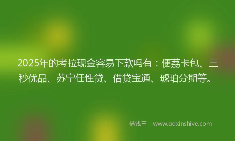 2025年的考拉现金容易下款吗有：便荔卡包、三秒优品、苏宁任性贷、借贷宝通、琥珀分期等。
