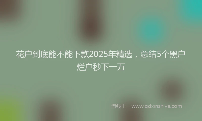 花户到底能不能下款2025年精选，总结5个黑户烂户秒下一万