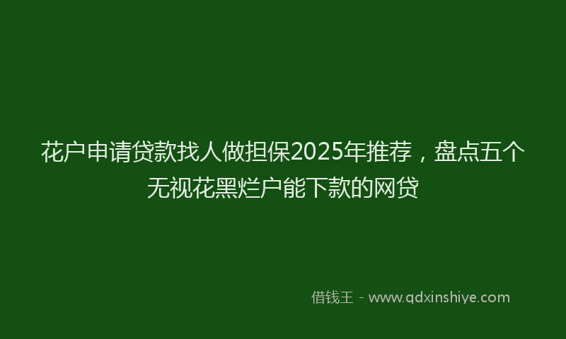 花户申请贷款找人做担保2025年推荐，盘点五个无视花黑烂户能下款的网贷