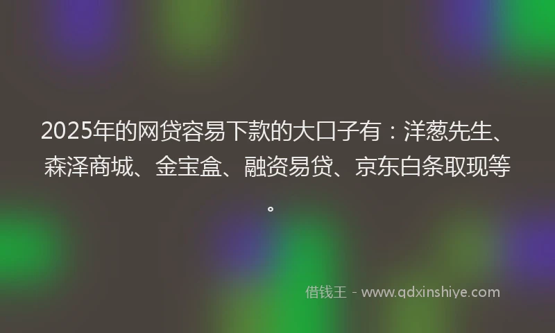 2025年的网贷容易下款的大口子有：洋葱先生、森泽商城、金宝盒、融资易贷、京东白条取现等。