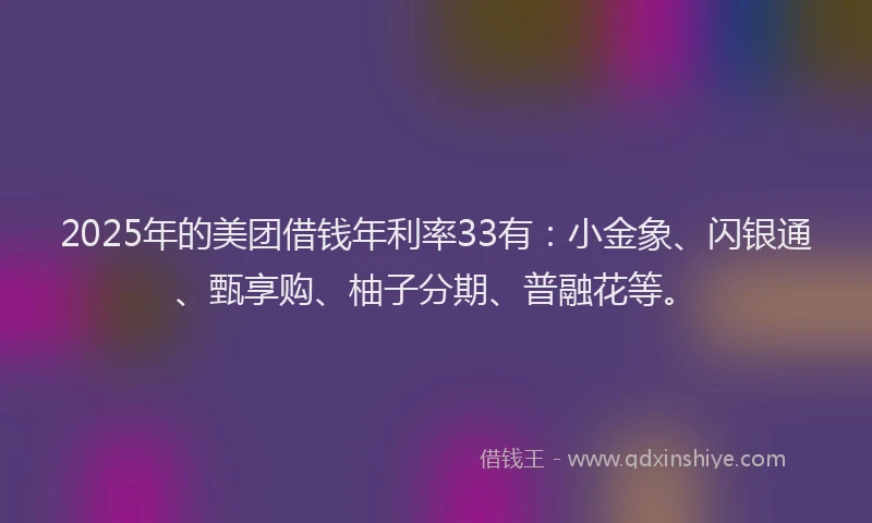 2025年的美团借钱年利率33有：小金象、闪银通、甄享购、柚子分期、普融花等。