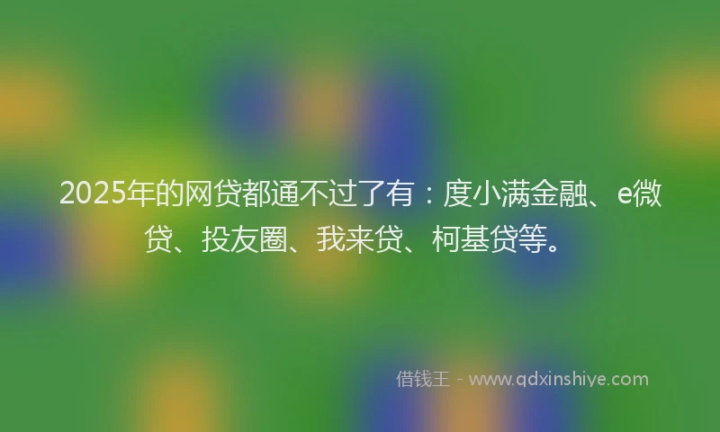 2025年的网贷都通不过了有：度小满金融、e微贷、投友圈、我来贷、柯基贷等。