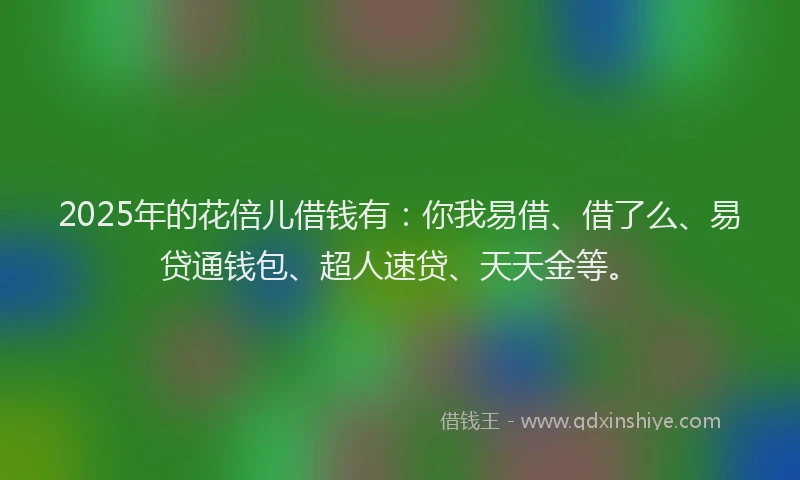 2025年的花倍儿借钱有：你我易借、借了么、易贷通钱包、超人速贷、天天金等。