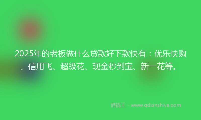2025年的老板做什么贷款好下款快有：优乐快购、信用飞、超级花、现金秒到宝、新一花等。