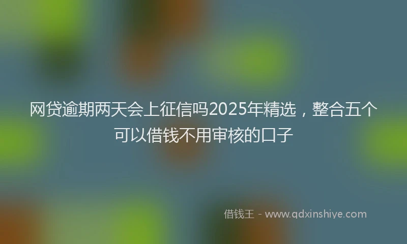 网贷逾期两天会上征信吗2025年精选，整合五个可以借钱不用审核的口子