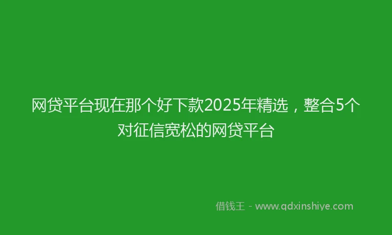 网贷平台现在那个好下款2025年精选，整合5个对征信宽松的网贷平台
