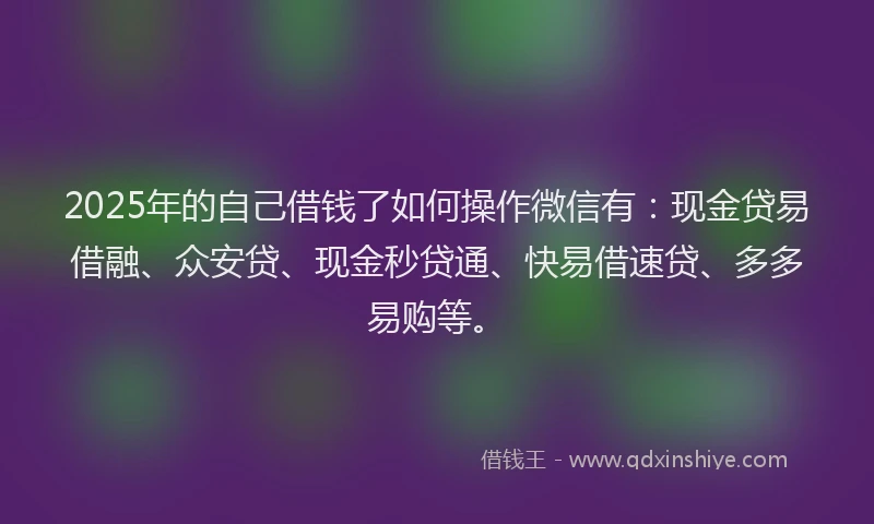 2025年的自己借钱了如何操作微信有：现金贷易借融、众安贷、现金秒贷通、快易借速贷、多多易购等。