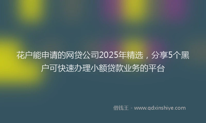 花户能申请的网贷公司2025年精选，分享5个黑户可快速办理小额贷款业务的平台