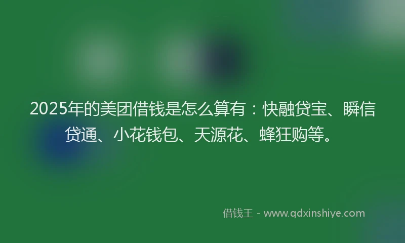 2025年的美团借钱是怎么算有：快融贷宝、瞬信贷通、小花钱包、天源花、蜂狂购等。