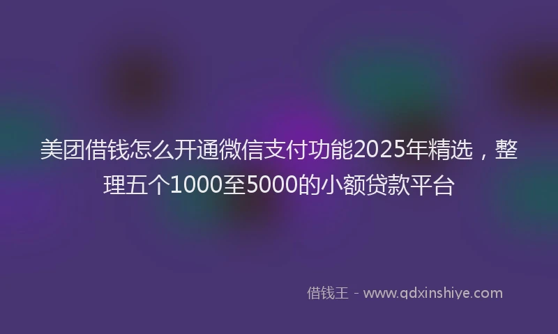 美团借钱怎么开通微信支付功能2025年精选，整理五个1000至5000的小额贷款平台