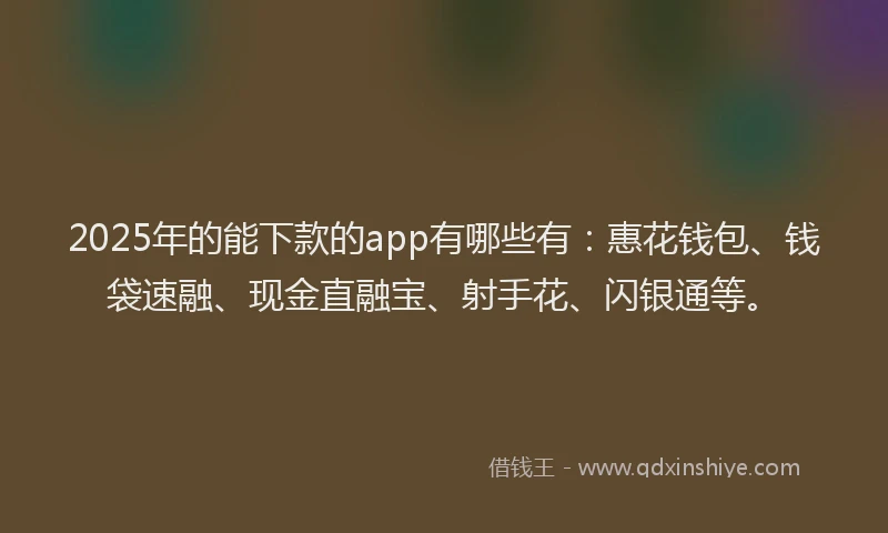 2025年的能下款的app有哪些有：惠花钱包、钱袋速融、现金直融宝、射手花、闪银通等。