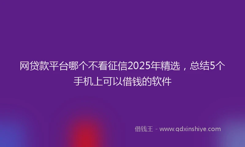 网贷款平台哪个不看征信2025年精选，总结5个手机上可以借钱的软件