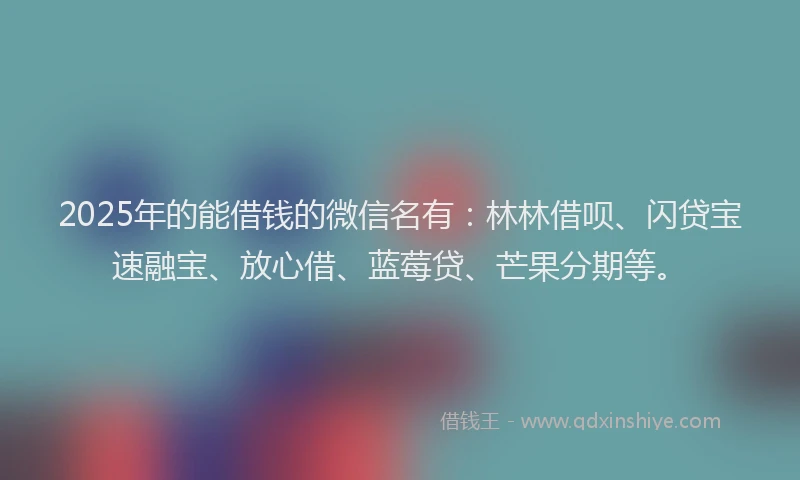 2025年的能借钱的微信名有：林林借呗、闪贷宝速融宝、放心借、蓝莓贷、芒果分期等。