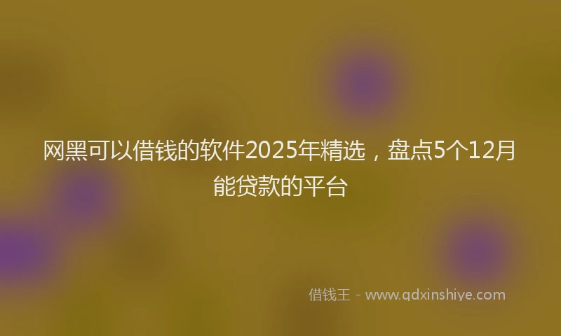 网黑可以借钱的软件2025年精选，盘点5个12月能贷款的平台