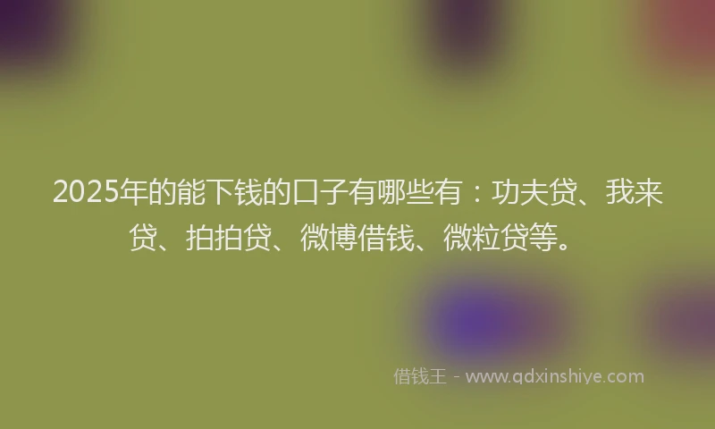 2025年的能下钱的口子有哪些有：功夫贷、我来贷、拍拍贷、微博借钱、微粒贷等。