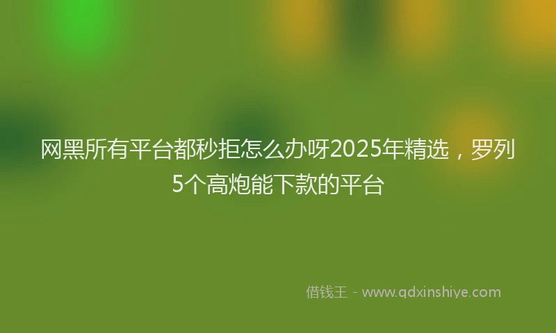 网黑所有平台都秒拒怎么办呀2025年精选，罗列5个高炮能下款的平台