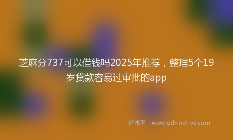 芝麻分737可以借钱吗2025年推荐，整理5个19岁贷款容易过审批的app