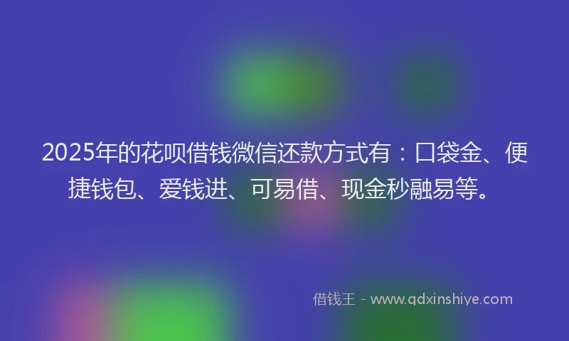 2025年的花呗借钱微信还款方式有：口袋金、便捷钱包、爱钱进、可易借、现金秒融易等。