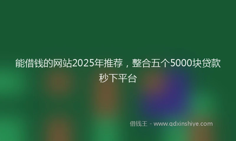 能借钱的网站2025年推荐，整合五个5000块贷款秒下平台