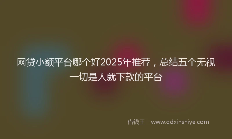 网贷小额平台哪个好2025年推荐，总结五个无视一切是人就下款的平台