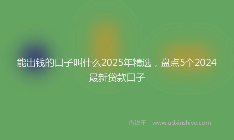 能出钱的口子叫什么2025年精选，盘点5个2024最新贷款口子