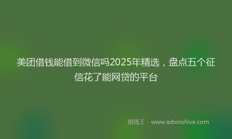 美团借钱能借到微信吗2025年精选，盘点五个征信花了能网贷的平台