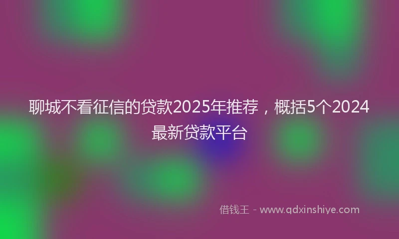 聊城不看征信的贷款2025年推荐，概括5个2024最新贷款平台