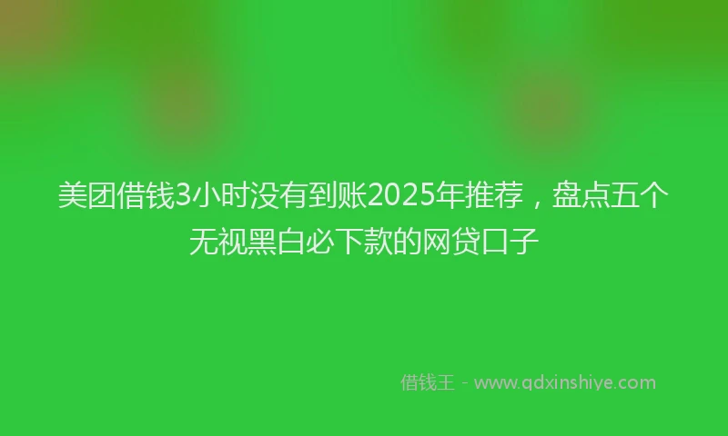 美团借钱3小时没有到账2025年推荐，盘点五个无视黑白必下款的网贷口子
