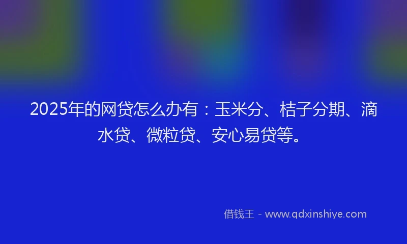 2025年的网贷怎么办有：玉米分、桔子分期、滴水贷、微粒贷、安心易贷等。