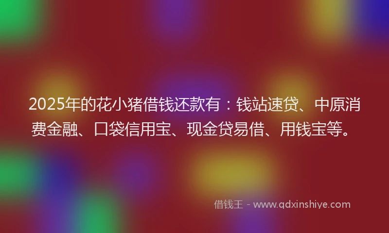 2025年的花小猪借钱还款有：钱站速贷、中原消费金融、口袋信用宝、现金贷易借、用钱宝等。