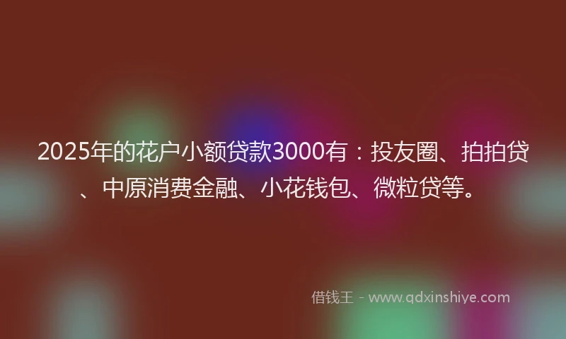2025年的花户小额贷款3000有：投友圈、拍拍贷、中原消费金融、小花钱包、微粒贷等。