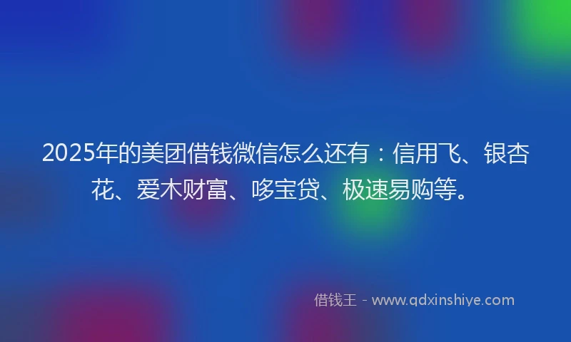 2025年的美团借钱微信怎么还有：信用飞、银杏花、爱木财富、哆宝贷、极速易购等。