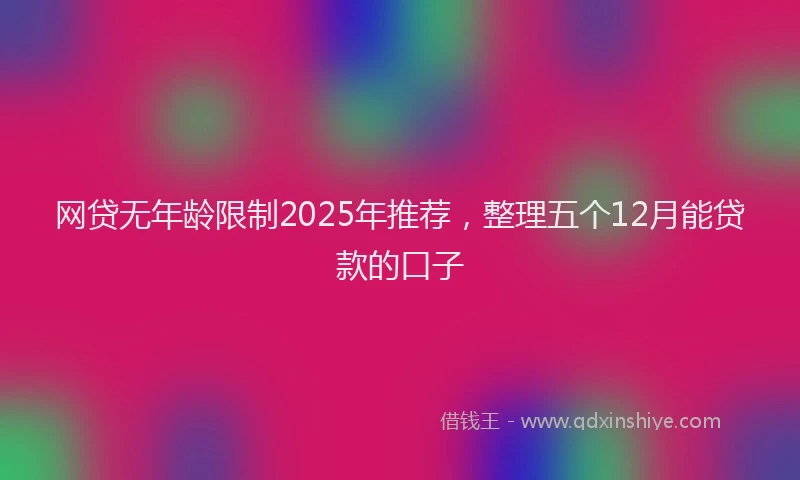 网贷无年龄限制2025年推荐，整理五个12月能贷款的口子