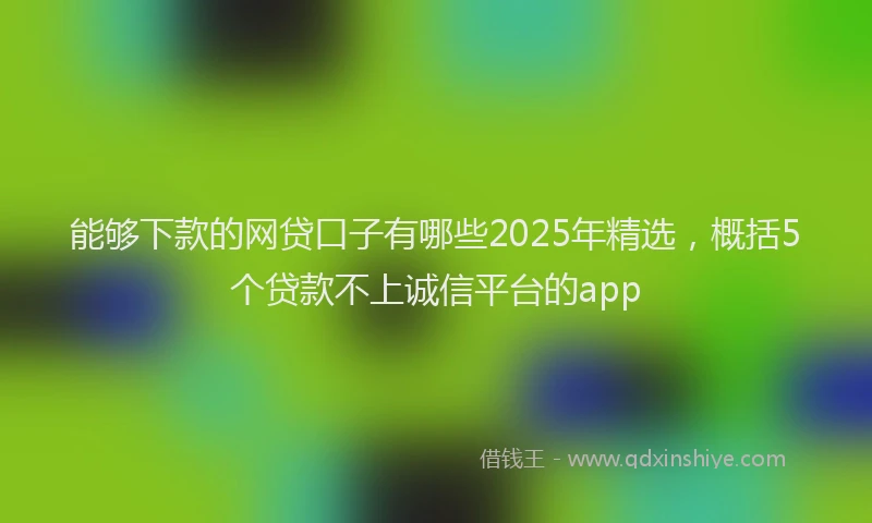 能够下款的网贷口子有哪些2025年精选，概括5个贷款不上诚信平台的app