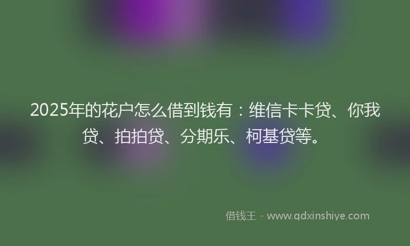 2025年的花户怎么借到钱有：维信卡卡贷、你我贷、拍拍贷、分期乐、柯基贷等。