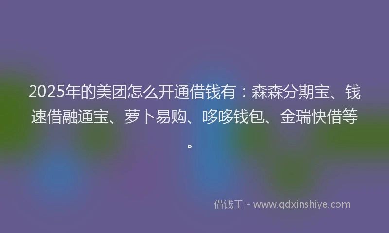 2025年的美团怎么开通借钱有：森森分期宝、钱速借融通宝、萝卜易购、哆哆钱包、金瑞快借等。
