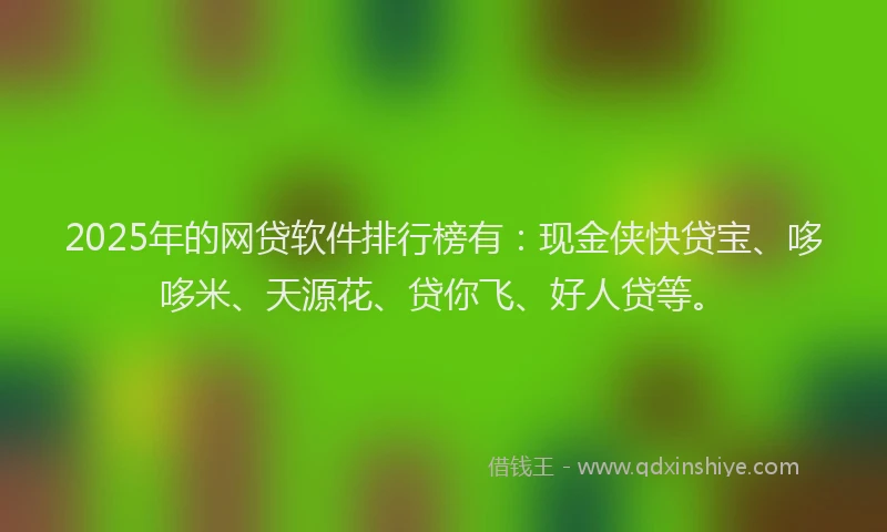 2025年的网贷软件排行榜有：现金侠快贷宝、哆哆米、天源花、贷你飞、好人贷等。