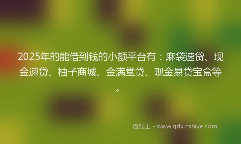 2025年的能借到钱的小额平台有：麻袋速贷、现金速贷、柚子商城、金满堂贷、现金易贷宝盒等。