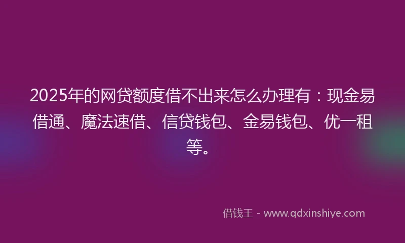 2025年的网贷额度借不出来怎么办理有：现金易借通、魔法速借、信贷钱包、金易钱包、优一租等。