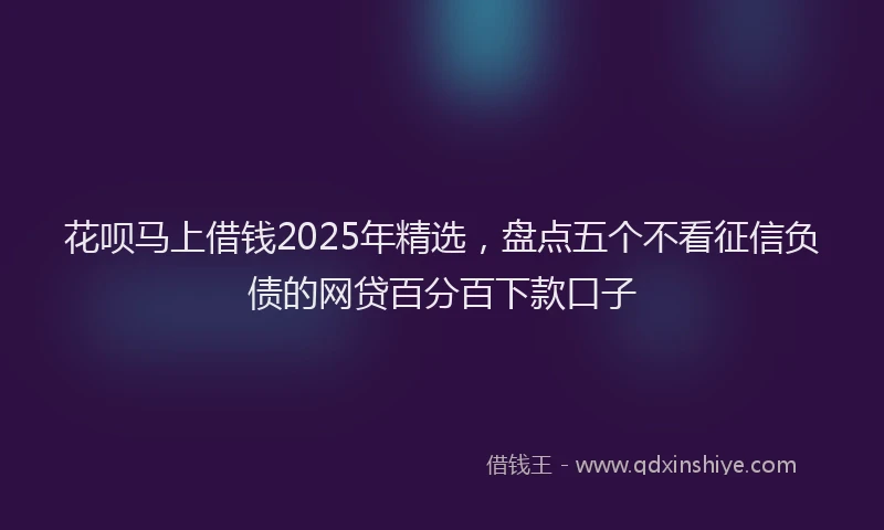 花呗马上借钱2025年精选，盘点五个不看征信负债的网贷百分百下款口子