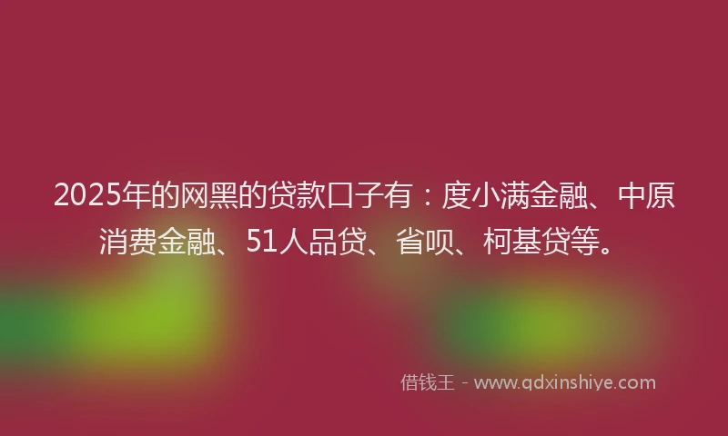 2025年的网黑的贷款口子有：度小满金融、中原消费金融、51人品贷、省呗、柯基贷等。
