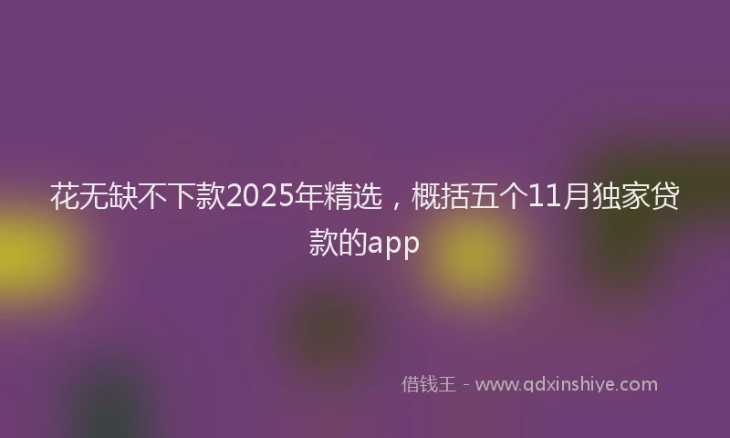 花无缺不下款2025年精选，概括五个11月独家贷款的app